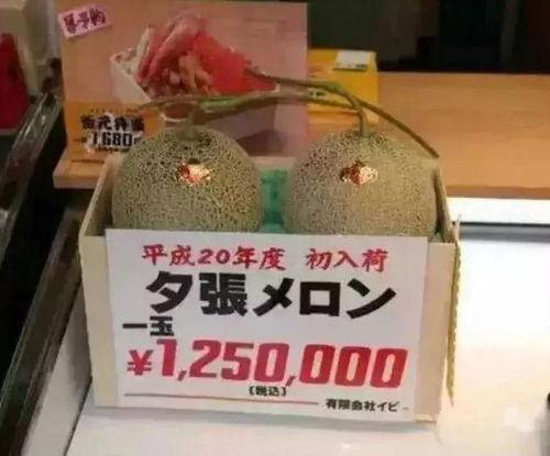 娱乐市场有瓜吃吗,揭秘那些你不知道的幕后故事